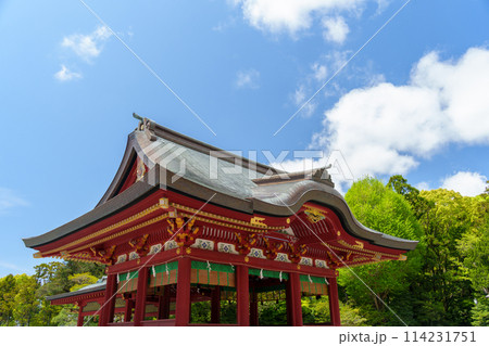 鎌倉 鶴岡八幡宮の舞殿 鎌倉 鶴岡八幡宮の舞殿 114231751
