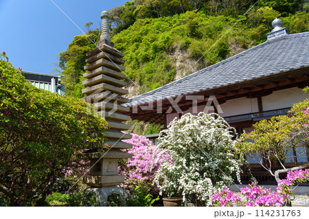 鎌倉 安養院の境内 114231763