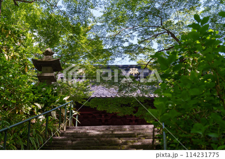 鎌倉 新緑の妙本寺の二天門 鎌倉 新緑の妙本寺の二天門 114231775