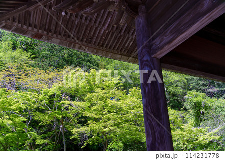 鎌倉 妙本寺、祖師堂から眺める新緑 鎌倉 妙本寺、祖師堂から眺める新緑 114231778