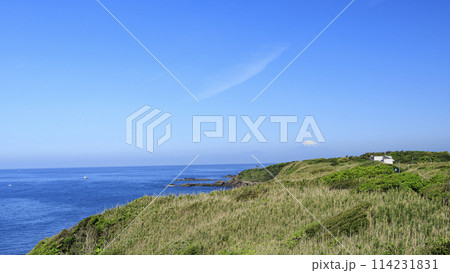 神奈川県最南端の城ヶ島の初夏 神奈川県最南端の城ヶ島の初夏 114231831