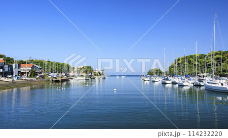 ヨットハーバーに停泊するヨット(神奈川県三浦市諸磯) ヨットハーバーに停泊するヨット(神奈川県三浦市諸磯) 114232220
