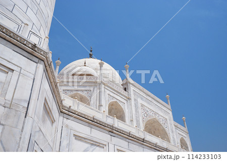 タージ・マハル インド 世界遺産 Taj Mahal タージ・マハル インド 世界遺産 Taj Mahal 114233103