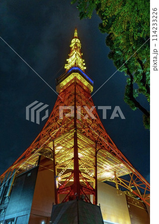 東京タワーを見上げて 東京タワーを見上げて 114233226