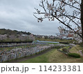 桜のある風景 114233381