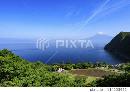 戸田から望む駿河湾と富士山 戸田から望む駿河湾と富士山 114233433