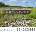 ヤナギランのある風景 114233445