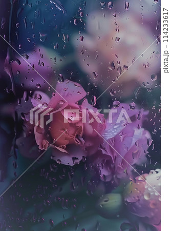 A flowers with raindrops on it 114233617