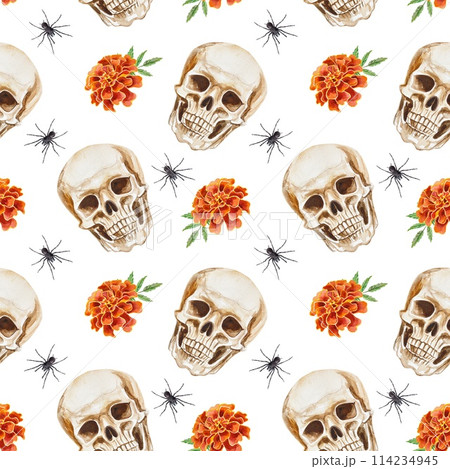 Human skull, marigolds, spider. Seamless pattern. Watercolor illustration isolated on white background. For cards, wrapping paper, textiles, covers. Human skull, marigolds, spider. Seamless pattern. Watercolor illustration isolated on white background. For cards, wrapping paper, textiles, covers. 114234945