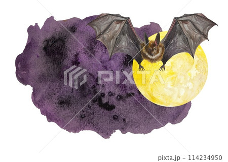 Bat, moon, night. Halloween template for inserting text. Watercolor illustration on white background. Halloween cards, invitations, covers, flyers. 114234950