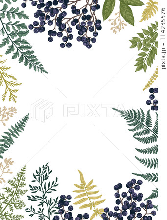 Rectangular frame with leaves and blackberries. Vintage floral background. 114235576