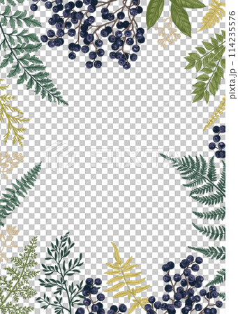 Rectangular frame with leaves and blackberries. Vintage floral background. 114235576