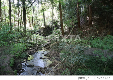 横浜市内唯一の渓谷公園 陣ケ下渓谷公園 横浜市内唯一の渓谷公園 陣ケ下渓谷公園 114235787