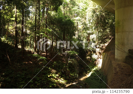横浜市内唯一の渓谷公園 陣ケ下渓谷公園 横浜市内唯一の渓谷公園 陣ケ下渓谷公園 114235790