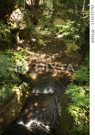 横浜市内唯一の渓谷公園　陣ケ下渓谷公園 114235792