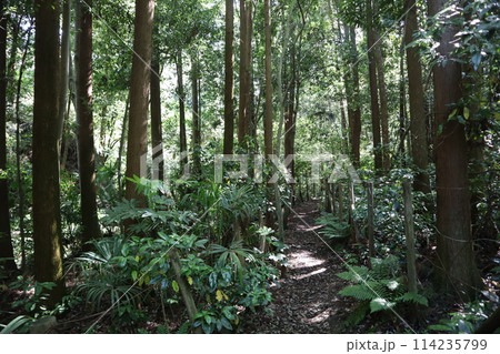 横浜市内唯一の渓谷公園 陣ケ下渓谷公園 横浜市内唯一の渓谷公園 陣ケ下渓谷公園 114235799