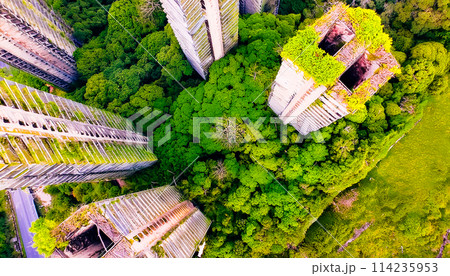 空から見下ろす廃墟の都市、植物に覆われた建物のイラスト素材