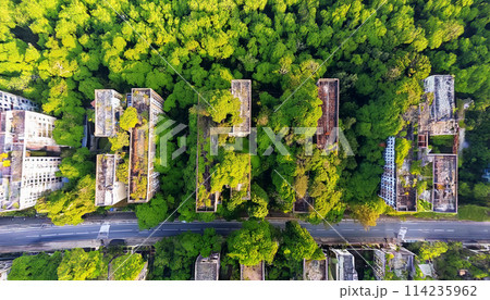 廃墟の植物 A4サイズ 空から見下ろす廃墟の都市、植物に覆われた建物のイラスト素材