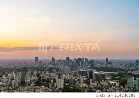 【東京都】夕暮れの大都市 114236198