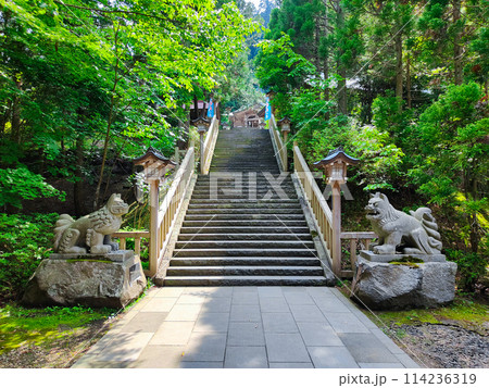 真山神社:参道 真山神社:参道 114236319
