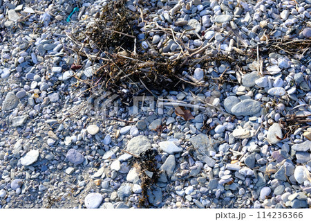 At the beach, where the land meets the sea At the beach, where the land meets the sea 114236366