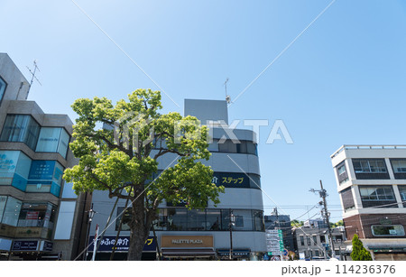 鎌倉駅　西口駅前　春晴れの青空　神奈川県鎌倉市 114236376