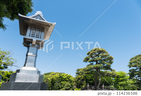 鶴岡八幡宮の入口を散策 春晴れの青空 神奈川県鎌倉市 鶴岡八幡宮の入口を散策 春晴れの青空 神奈川県鎌倉市 114236386