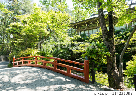 鶴岡八幡宮　柳原神池　春晴れの青空　神奈川県鎌倉市 114236398
