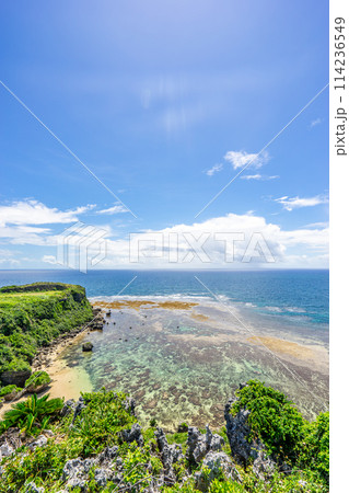 【沖縄県】真夏の南国の海 114236549