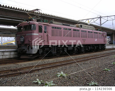 EF81　日本海ヘッドマーク 114236566