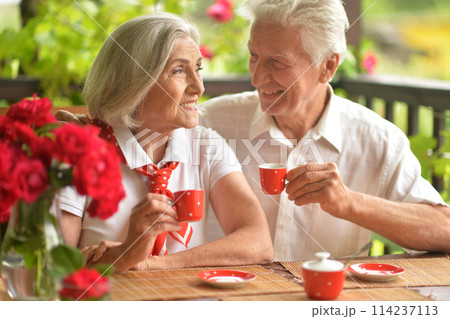 Portrait of senior couple drinking coffee at home 114237113