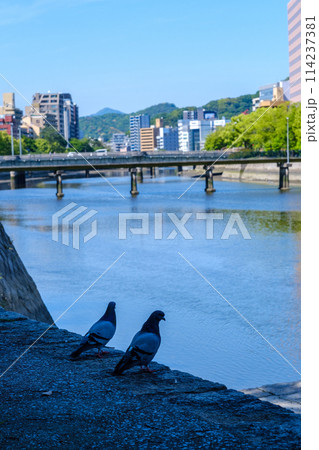 広島_稲荷大橋_柳橋_鳩2_縦 114237381