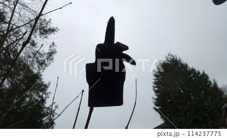 An black glove, placed on a branch, showing the middle finger. An black glove, placed on a branch, showing the middle finger. 114237775