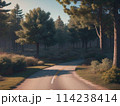 山道のイラスト 114238414