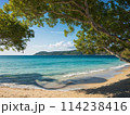 エメラルドグリーンの海と白い砂浜と緑の島 114238416