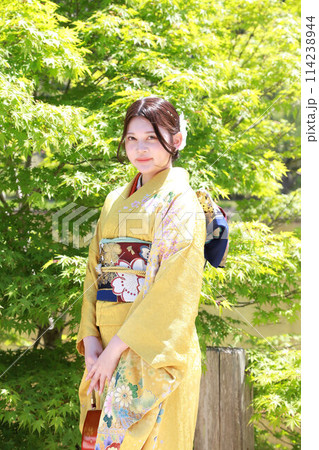 イエロー系柄の振袖を着た成人女性、和装ロケーション撮影、成人式 イエロー系柄の振袖を着た成人女性、和装ロケーション撮影、成人式 114238944