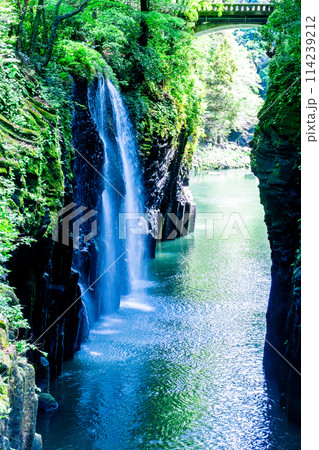 新緑の高千穂峡 宮崎県 新緑の高千穂峡 宮崎県 114239212