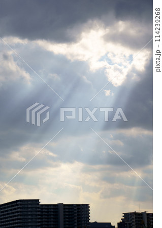 薄明光線／光芒 114239268