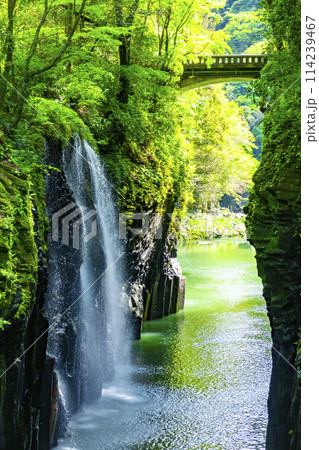 高千穂峡 新緑 宮崎県 高千穂峡 新緑 宮崎県 114239467