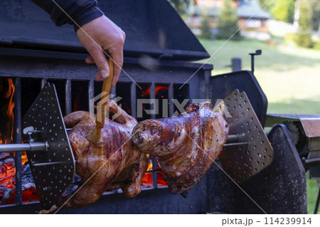 Roasting pork and turkey on spit 114239914