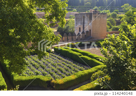 Alhambra, Generalife and Albayzin (Generalife y Albaicin de Granada), UNESCO site, Granada, Andalusia, Spain Alhambra, Generalife and Albayzin (Generalife y Albaicin de Granada), UNESCO site, Granada, Andalusia, Spain 114240148