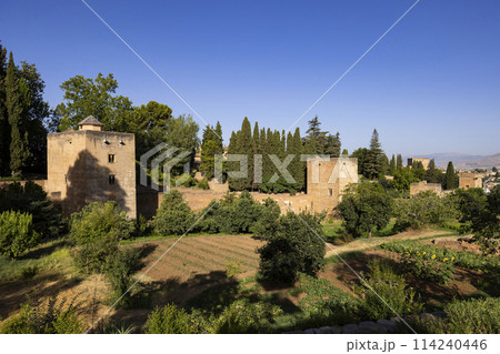 Alhambra, Generalife and Albayzin (Generalife y Albaicin de Granada), UNESCO site, Granada, Andalusia, Spain 114240446