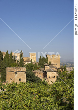 Alhambra, Generalife and Albayzin (Generalife y Albaicin de Granada), UNESCO site, Granada, Andalusia, Spain Alhambra, Generalife and Albayzin (Generalife y Albaicin de Granada), UNESCO site, Granada, Andalusia, Spain 114240460