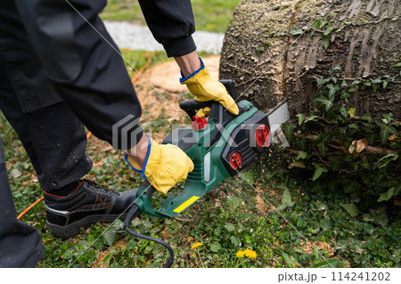 A man in uniform cuts an old tree in the yard with an electric saw A man in uniform cuts an old tree in the yard with an electric saw 114241202