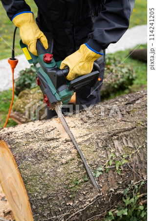 A man in uniform cuts an old tree in the yard with an electric saw 114241205