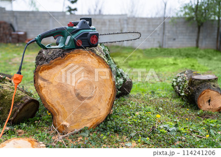 Electric saw on an old tree in the yard. 114241206