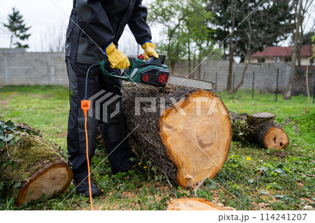 A man in uniform cuts an old tree in the yard with an electric saw 114241207