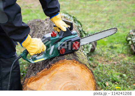 A man in uniform cuts an old tree in the yard with an electric saw 114241208