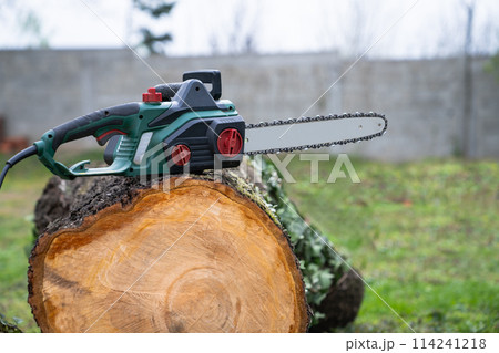 Electric saw on an old tree in the yard. 114241218