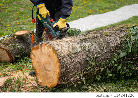 A man in uniform cuts an old tree in the yard with an electric saw 114241220